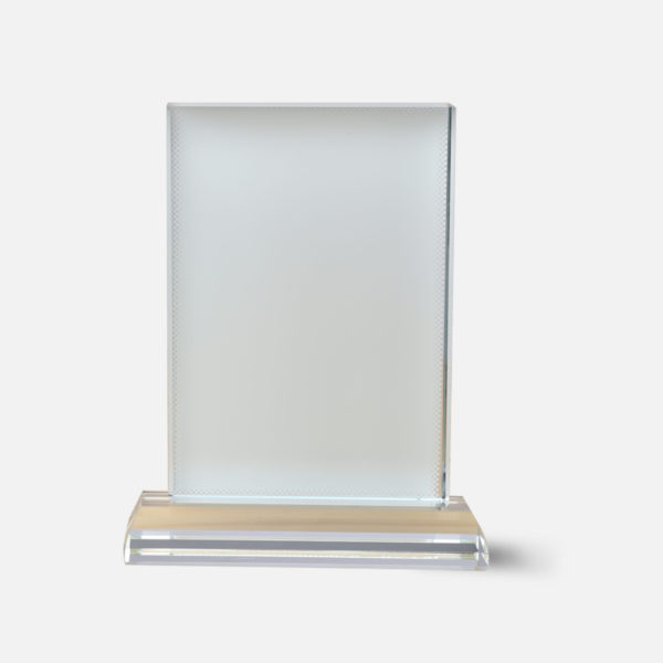 Vaulted screen(Vertical) Award Crystal